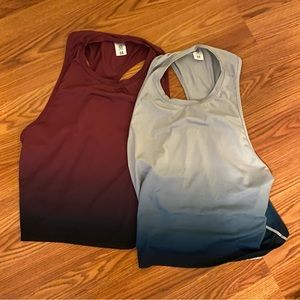 Senita Athletics Ombre Cropped Tanks